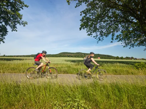Radfahren am Benther Berg