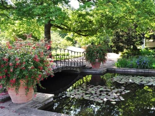 Über Rhododendren und ein Wasserbecken blickt man auf eine Statue, die auf einem gepflegten Rasen im Stadtpark steht.