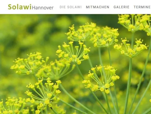 Oberfl&auml;che einer Internetseite.
