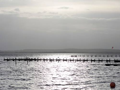 Ein Steg führt ins Steinhuder Meer, Vögel sitzen darauf. Im Hintergrund sind Sporttreibende auf dem Wasser.