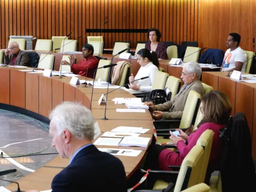 Acht Menschen sitzen im Ratssaal im Plenum, drei Frauen und fünf Männer. Ein Mann gestikuliert und spricht in ein Mikrofon, die anderen hören zu und schauen in Unterlagen.