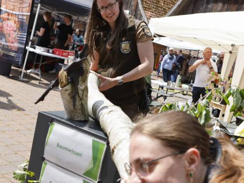 Eine Person hält einen Baumstamm, eine weitere Person legt das Ohr an den Baumstamm.