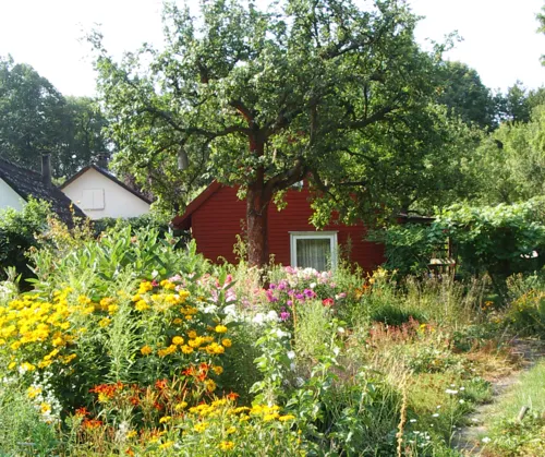 Blick in einen Kleingarten.