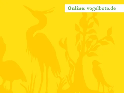 Auf dem Bild sind Umrisse von verschiedenen Vögeln und Bäumen zu sehen. Der Hintergrund ist orange/gelb.