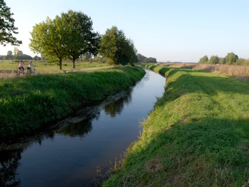 Wietze, Wiesen, Bäume, Radfahrer