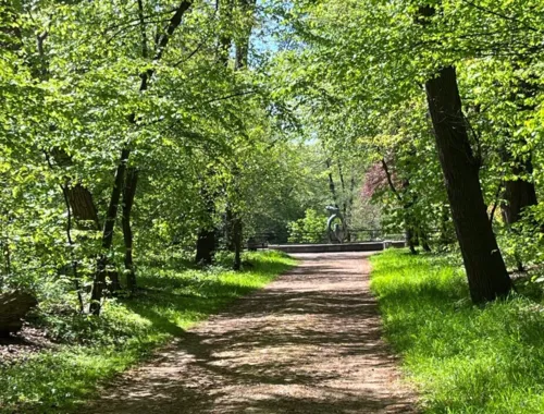 Waldweg