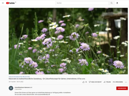 Oberfläche einer Internetseite. Ein Film ist zu sehen.
