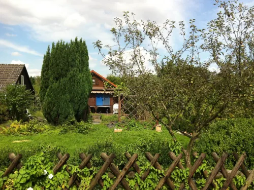 Ein Kleingarten in Hannover. Im Hintergrund steht eine H&uuml;tte, davor eine gepflegte Gr&uuml;nfl&auml;che.