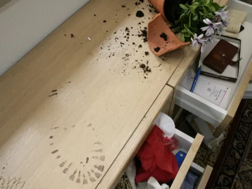 Eine Kommode mit ge&ouml;ffneten Schubladen und ein zerbrochener Blumentopf.