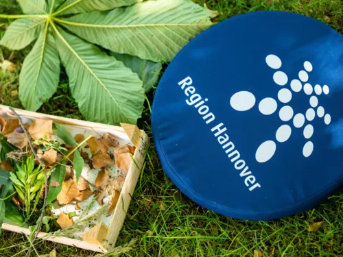 Ein blaues Sitzkissen mit dem Logo der Region Hannover liegt im Grünen neben einer Kiste mit Naturmaterialien