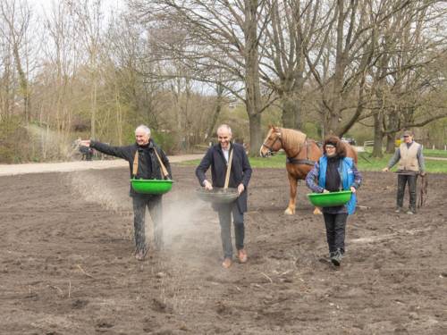 Drei Personen auf einer umgegrabenen Fläche. Sie streuen Saaten. Im Hintergrund ein Pferd, das von einer weiteren Person geführt wird.