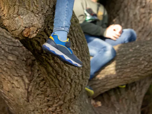Kinder klettern in einem Baum