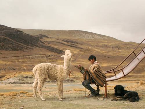 Ein Junge sitzt unten auf einer Rutsche. Vor ihm steht ein Alpaka, und der Rutsche liegt ein weiteres. Im Hintergrund Berge