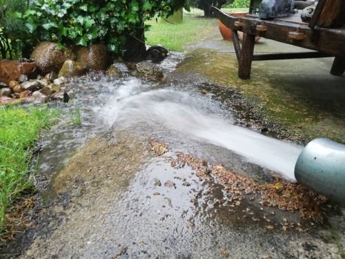 Wasser fließt aus einem Metallrohr über ein Stück betoniertes Land in einen Garten
