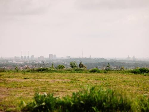 Eine grüne Wiese mit ein paar Büschen, im Hintergrund der Horizont mit Blick auf die Stadt Hannover.