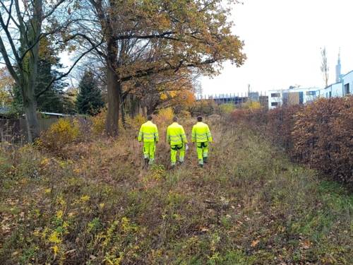 Drei Personen in Arbeitskleidung in einem großen Grünstreifen.
