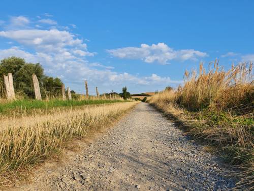 Trockener Feldweg im Sommer, am Wegrand trockene Gräser, blauer Himmel mit ein paar Wolken