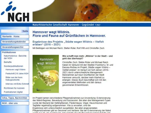 Oberfl&auml;che einer Internetseite.