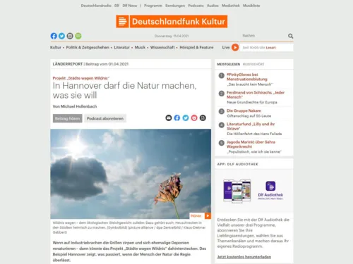 Oberfl&auml;che einer Internetseite.