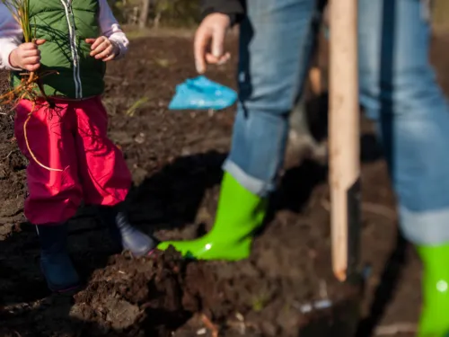 Eine große und eine kleine Person tragen bunte Gummistiefel und sind mit einem Spaten in einem Beet.