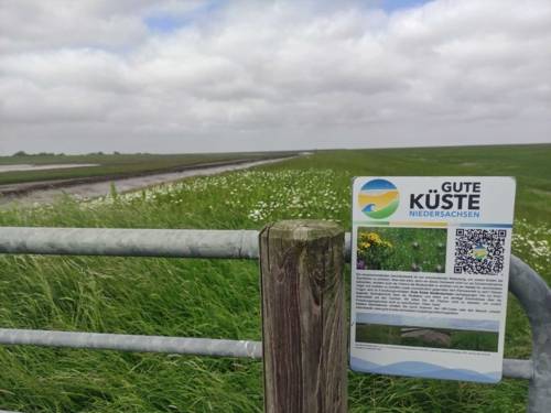 Schild mit Fotos und der Aufschrift "Gute Küste" vor Deichlandschaft.