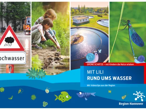 Kollage aus Fotos und gezeichneten Elementen rund um das Thema Wasser