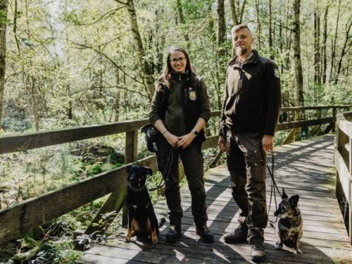 Eine Rangerin und ein Ranger stehen nebeneinander auf einem Holzsteg, zu ihren F&uuml;&szlig;en sitzen zwei Hunde, die Menschen halten die Hundeleinen.