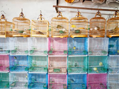 Werk von Kai Löffelbein (Ausschnitt)