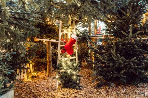 Das Winterdorf im Biergarten Lister Turm