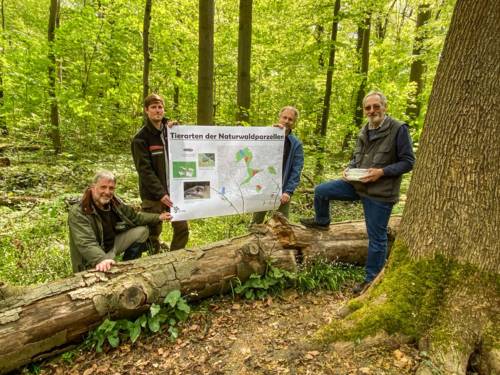 Vier Männer mit einem Plakat im Wald.