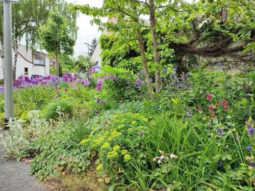 Eine Gartenfläche mit Blumen.