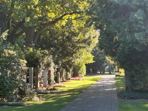 Ein Weg auf einem Friedhof.