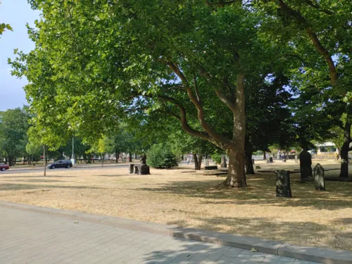 Alter Friedhof mit Grabsteinen, B&auml;umen und vertrocknetem Gras im Sommer