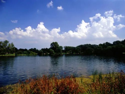 Der Ricklinger Kiesteich, umrandet von Wiese und B&auml;umen, blauer Himmel.