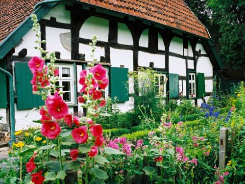 Blick in einen Garten.