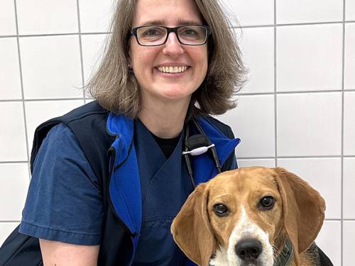 Tierärztin mit Hund