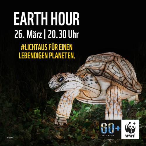 Ankündigung der Earth Hour mit einer beleuchteten Schildkröte vor einem dunklen Hintergrund.