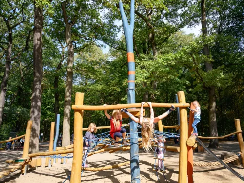 Kinder auf einem Spielplatz im Wald.