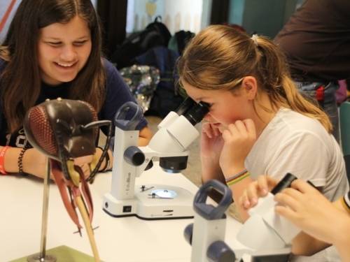 Mädchen an einem Mikroskop im Forscherzimmer des Erlebnis-Zoos