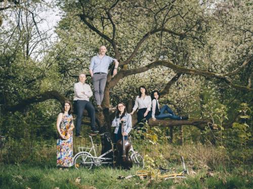 Vier Frauen und zwei Männer haben sich vor einem Baum und dessen Ästen verteilt. Im Bild sind außerdem Fahrräder und Musikinstrumente.