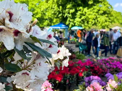 Impression der Hannoverschen Pflanzentage im Stadtpark.