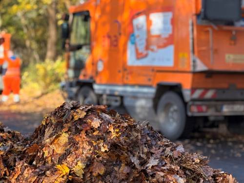 Ein Berg voller Laub