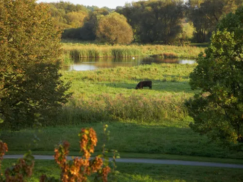 Landschaft Leineaue