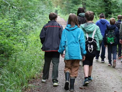 Eine Gruppe Kinder geht im Wald spazieren.