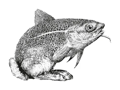 Drucklogo, das eine Mischung aus Fisch und Hase zeigt.