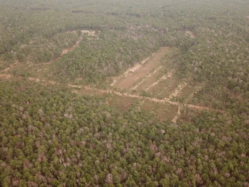 Altwarmbüchener Moor Luftbild