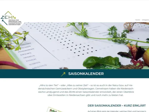 Screenshot einer Internetseite.