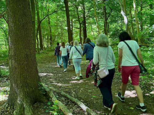 Wald Frauen Spaziergang