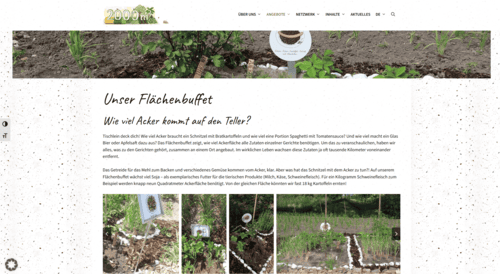 Website