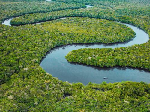 Luftaufnahme: ein schlangenliniger Fluss im Regenwald